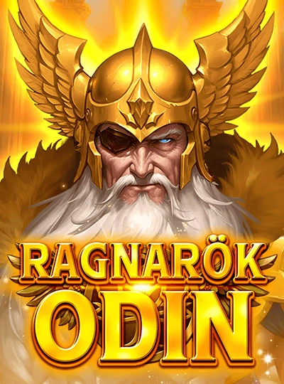 mmr101 mmr101